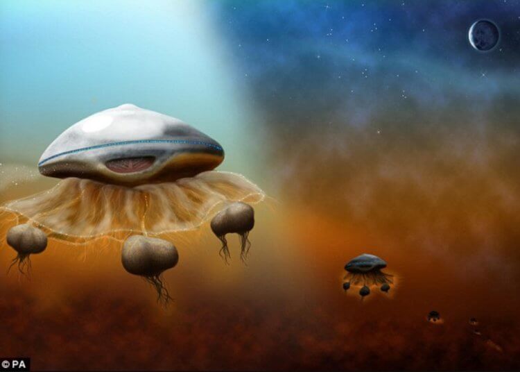 Есть ли жизнь на экзопланетах. Некоторые ученые считают, что инопланетяне похожи на гигантских медуз. Фото.