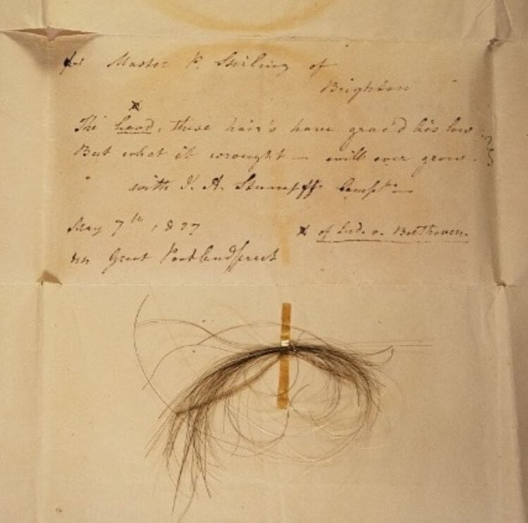 Генетический анализ Людвига Бетховена. Подлинная прядь волос Бетховена, прикрепленная к письму от 1827 года. Фото.