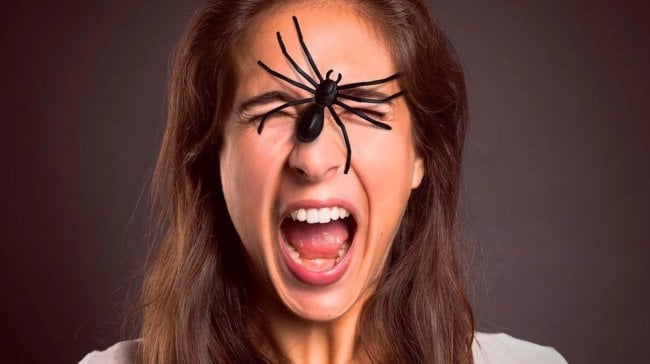 Ученые объяснили, почему люди не должны бояться пауков. Фото.