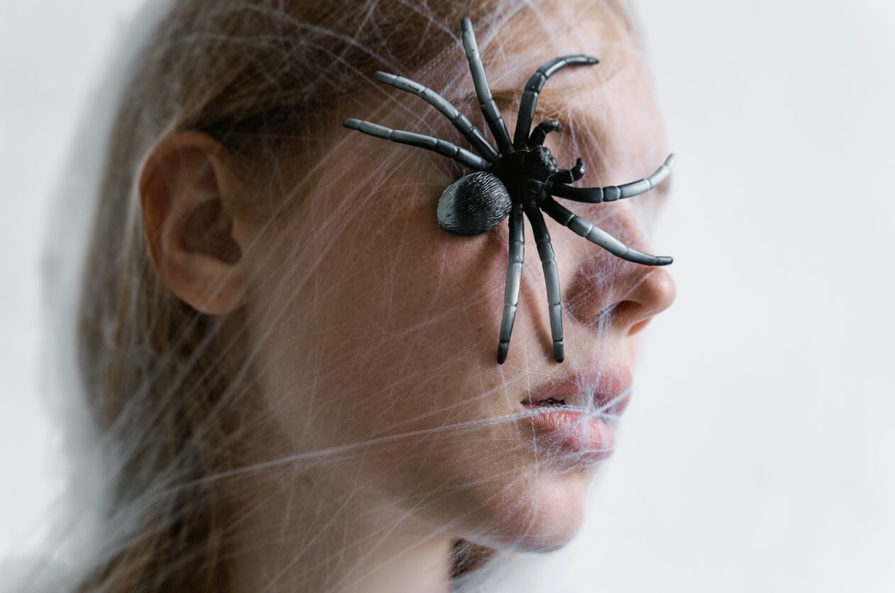 Почему люди боятся пауков. Большинство опасений арахнофобов лишены оснований. Фото.