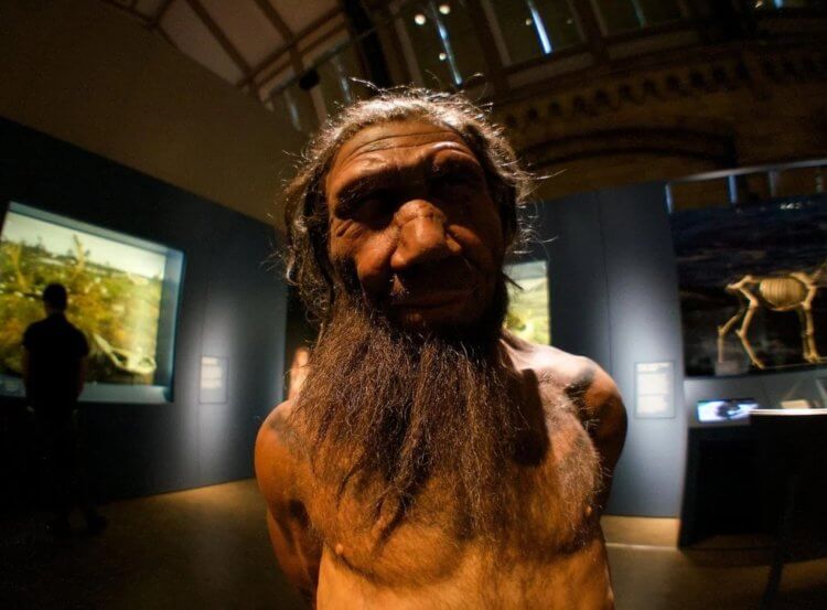 Почему у людей нет шерсти. Люди утратили шерсть на теле в ходе эволюции, но ученые не знают, почему. Фото.