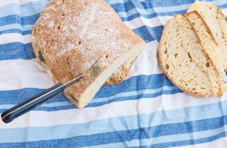 Можно ли срезать плесень с продуктов. Если плесени немного и она образовалась на твердой поверхности вроде корочки хлеба, ее можно срезать. Фото.