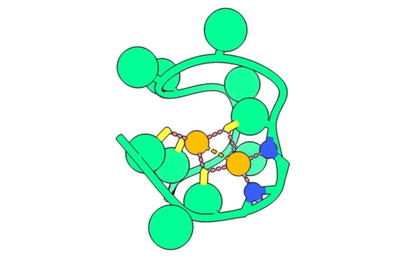Как зародилась жизнь. Схематически рисунок белка никельбэк, который имеет два атома азота (синие) и два атома никеля. Фото.