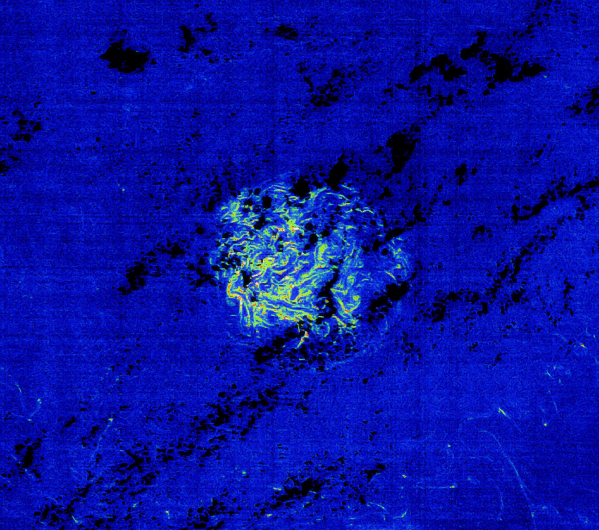 Что такое Большой атлантический саргассовый пояс. Вид на огромное скопление водорослей из космоса. Фото.