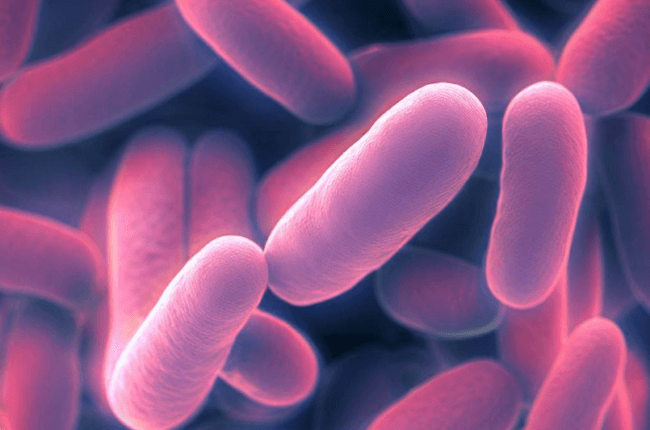 Ученые изобрели необычный антибиотик для борьбы с супербактериями. Фото.