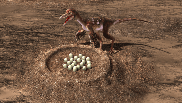 Некоторые динозавры 74 миллиона лет назад высиживали яйца как птицы