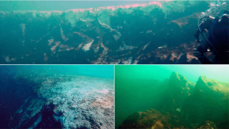 Голубая дыра в заливе Четумаль. Подводные снимки голубой дыры Таам Джа, устье которой находится на глубине почти 5 метров. Фото.