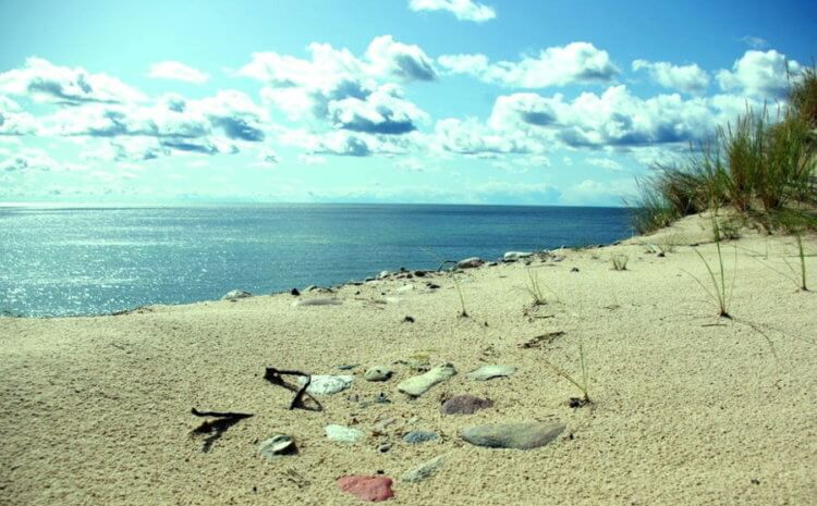 Какие римские монеты ученые нашли на в Балтийском море. Берег отдаленного необитаемого острова в Балтийском море Готска Санден. Фото.