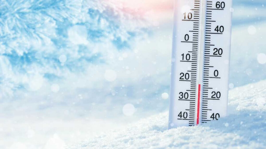 Почему холод продлевает жизнь. Ученые выяснили почему и как холод продлевает жизнь. Фото.