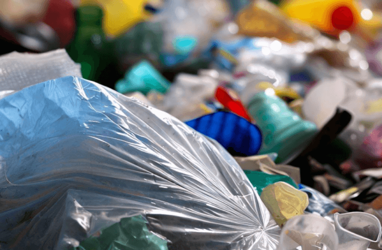 Обнаружены грибки, способные перерабатывать пластик менее чем за полгода. Пластиковый мусор представляет большую угрозу для окружающей среды и здоровья людей. Фото.