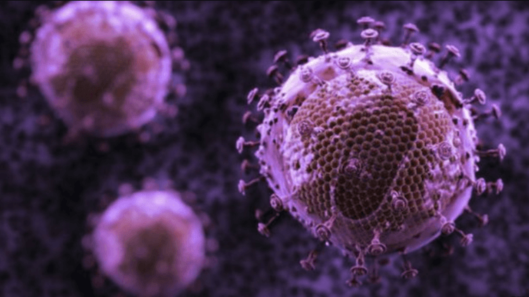 Ученые выяснили, где прячется ВИЧ в теле человека. Ученые обнаружили новые клетки, в которых прячется инфекция ВИЧ. Фото.
