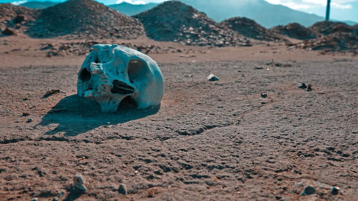 Вымирание человечества из-за применения биологического и химического оружия – реальность а не фантазии. Фото.