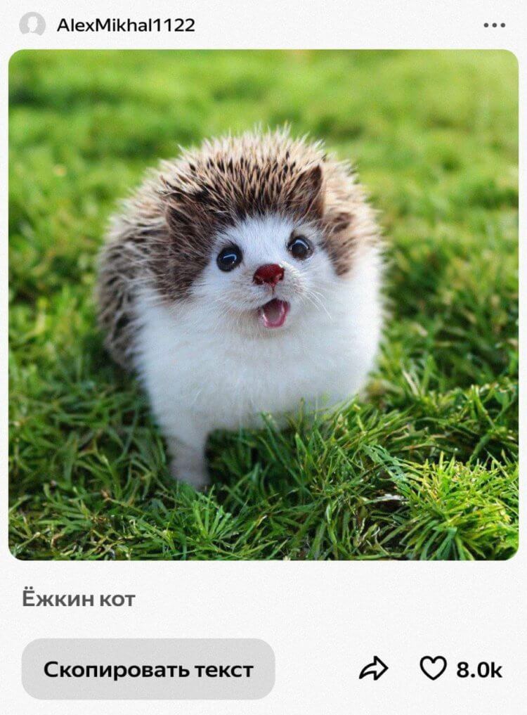 Нейросеть «Шедеврум» от Яндекса. Так, по мнению нейросети, выглядит ешкин кот. Фото.