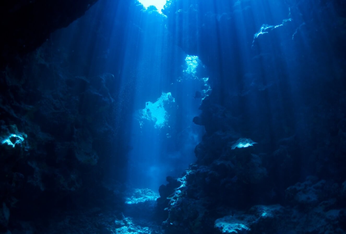 Жизнь в глубине океанов. В глубинах океана на живые организмы оказывается высокое давление и там очень холодно. Фото.