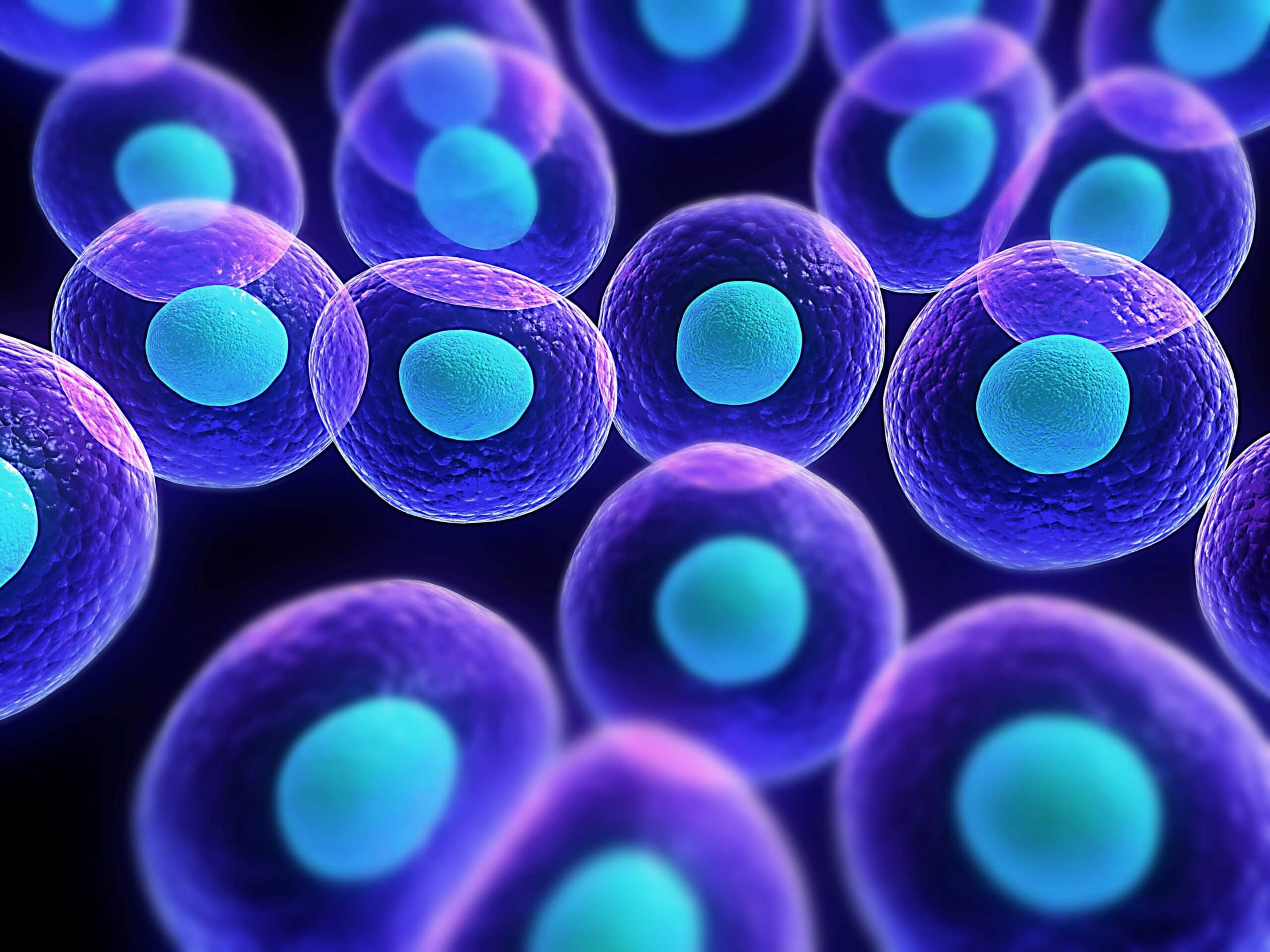 Новые молекулярные пути развития клеток под воздействием кислорода. Генная инженерия помогает ученым отвечать на многие вопросы. Фото.