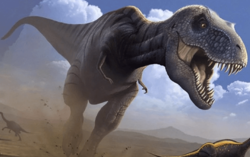 Динозавр тирекс имел губы. Ранее предполагалось, что тираннозавр рекс не имел губ. Фото.