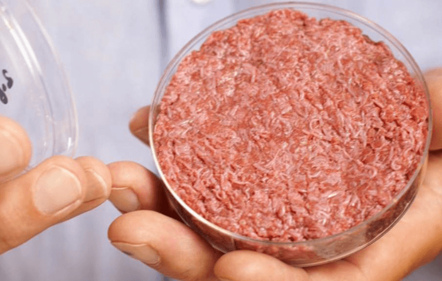 Почему искусственно выращенное мясо до сих пор не продают? Искусственное мясо все еще сильно отличается от натурального. Фото.