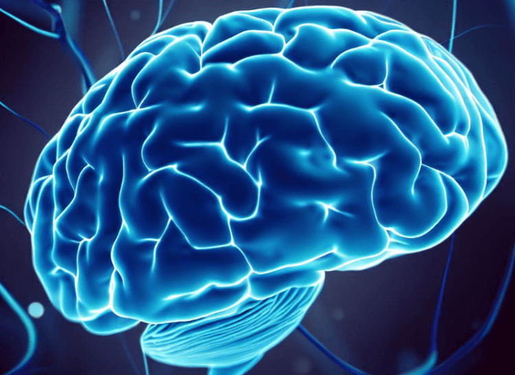 Теперь известно как спорт улучшает работу мозга. Ученые выяснили, почему спорт улучшает когнитивные функции человека. Фото.