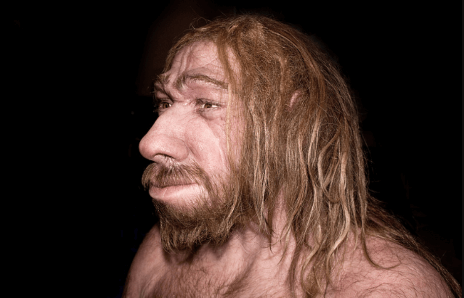 Гены неандертальцев повлияли не внешность современных людей. Ученые обнаружили у людей неандертальские гены, которые связаны с длинным носом. Фото.