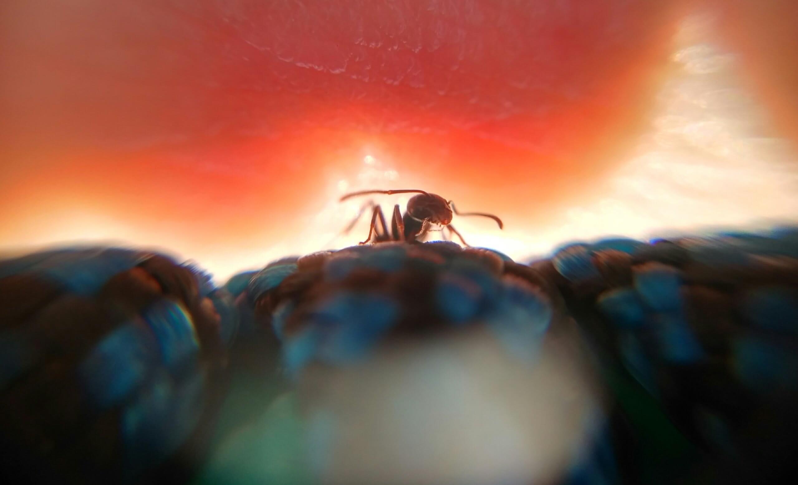 Невероятные способности тараканов: почему они могут пережить ядерный взрыв?