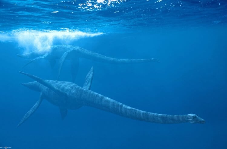 Речной плезиозавр: один из самых больших морских хищников и прообраз Несси