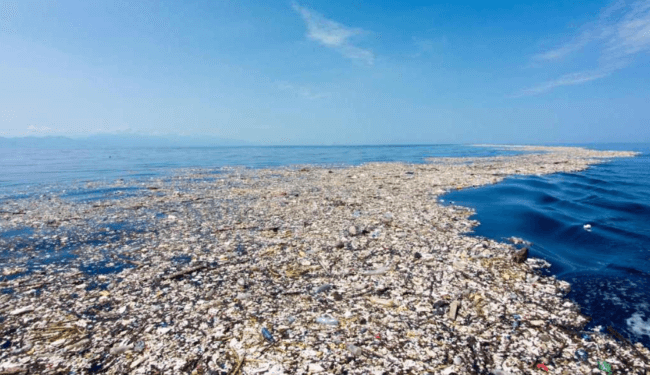 Плохая новость — на пластике в океане размножаются смертельно опасные бактерии. Фото.