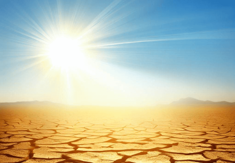 В каких странах будет сильная засуха этим летом