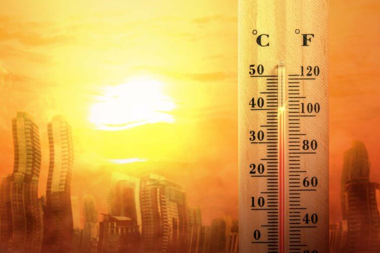 Аномальная жара. С каждым годом планета становится все горячее – так работает парниковый эффект. Фото.