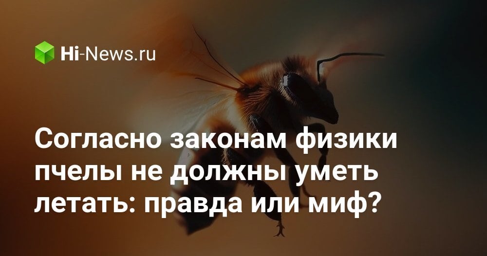 Nach den Gesetzen der Physik sollten Bienen nicht fliegen können: Wahrheit oder Mythos?
