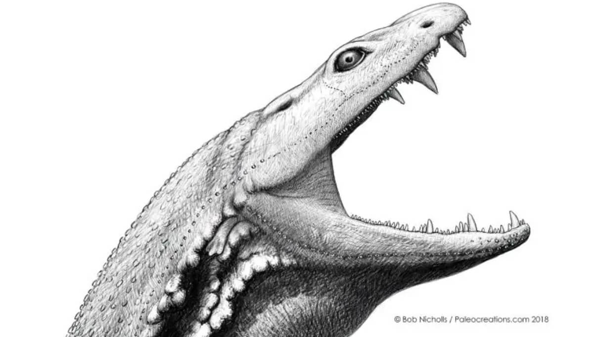 Каким был «головастик из ада» — страшный хищник, живший 330 млн лет назад