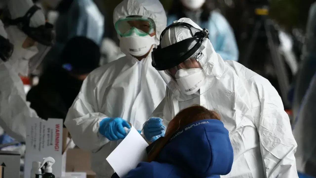 Птичий грипп в России 2023. Сейчас эксперты в области здравоохранения готовятся к новой потенциальной глобальной угрозе. Фото.
