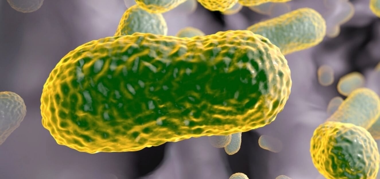 Лучший антибиотик против супербактерий. Супербактерии вызывают у ученых множество опасений, потому что могут сделать болезни неизлечимыми. Фото.