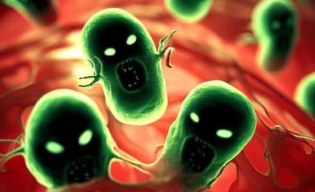 Неожиданные преимущества стареющих клеток-зомби у саламандр. Фото.