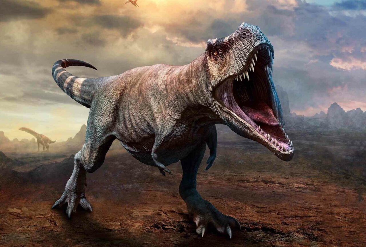 Сколько тираннозавров жило на Земле — опубликованы самые точные данные. Результаты новой научной работы показали, что тираннозавров было больше, чем людей в первой половине 20 века. Фото.