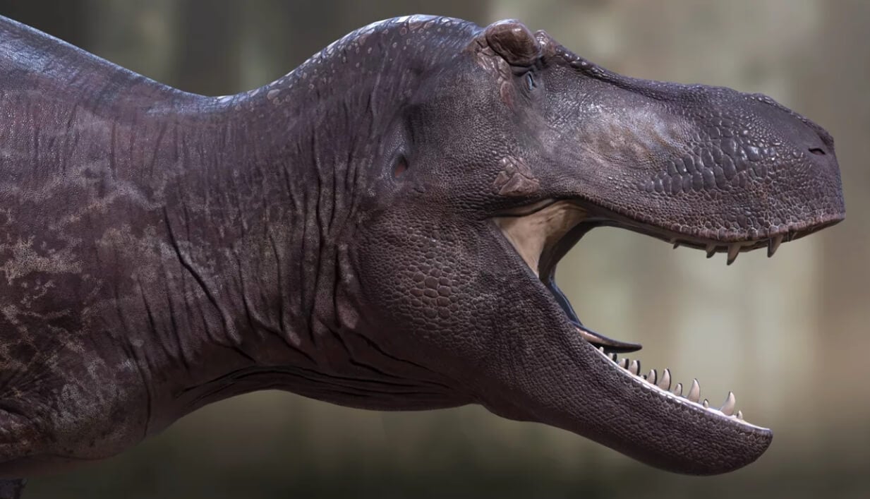 Какими были тираннозавры. У ученых есть основания полагать, что зубы тираннозавров были спрятаны за губами. Фото.
