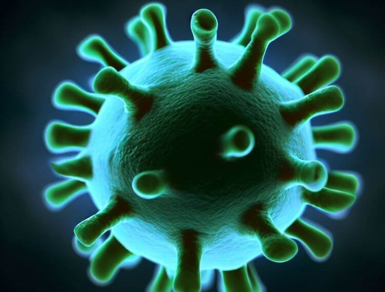 Как смертоносные вирусы способны спасти жизнь
