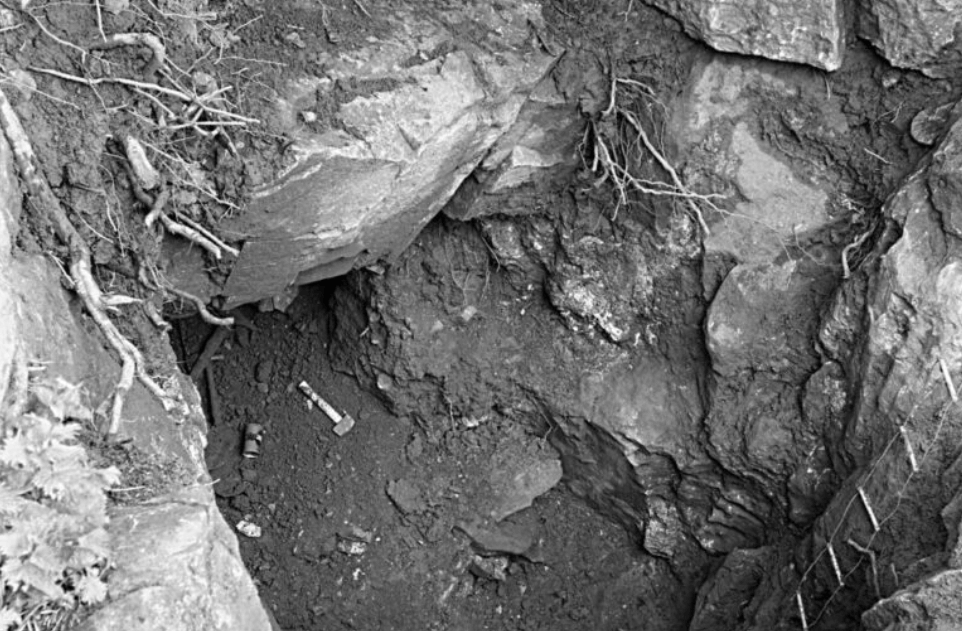 Самые древние чумные захоронения в Британи. Братская могила в Чартерхаус-Уоррене, где были обнаружены останки подростков, зараженных чумной палочкой. Фото.
