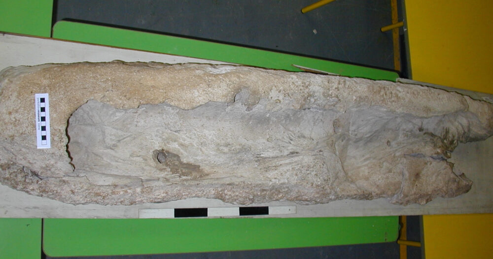 Зачем в древнем Риме заливали трупы жидким гипсом - Hi-News.ru