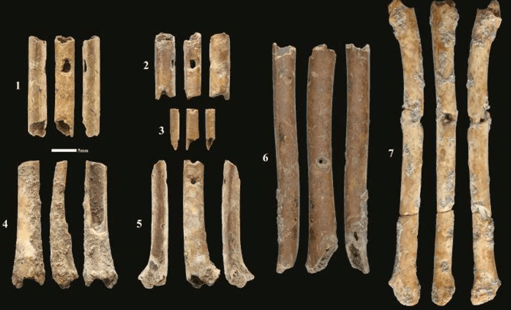 Самый древний музыкальный инструмент на Ближнем Востоке. Археологи обнаружили в Израиле 7 костяных флейт, но хорошо сохранилась только одна. Фото.