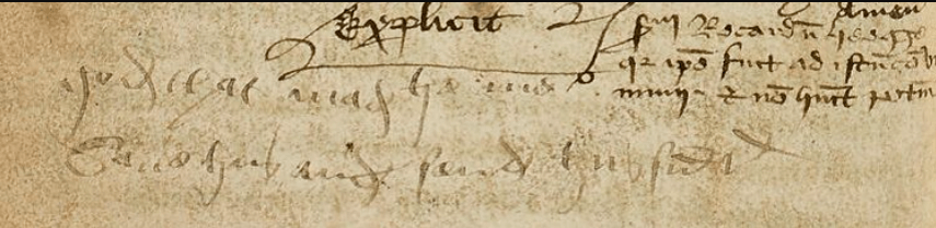 Необычный средневековый текст. Шутка из текста, на которую случайно обратил внимание Доктор Джеймс Уэйд, который обнаружил манускрипт. Фото.