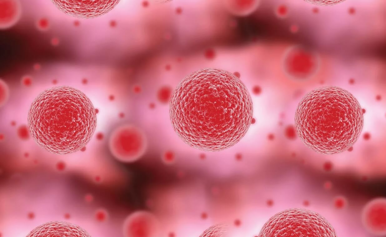 Стволовые клетки защищают от болезней. Также жизнь под водой увеличила количество стволовых клеток. Фото.