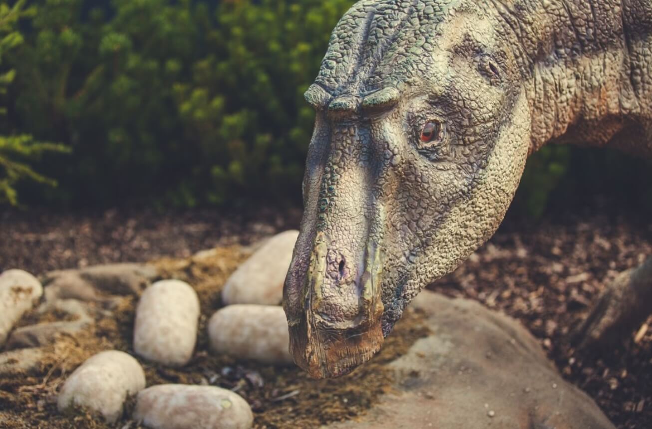 Для чего нужно однополое размножение. Ученые подозревают, что способность партеногенезу также имелась у некоторых динозавров. Фото.