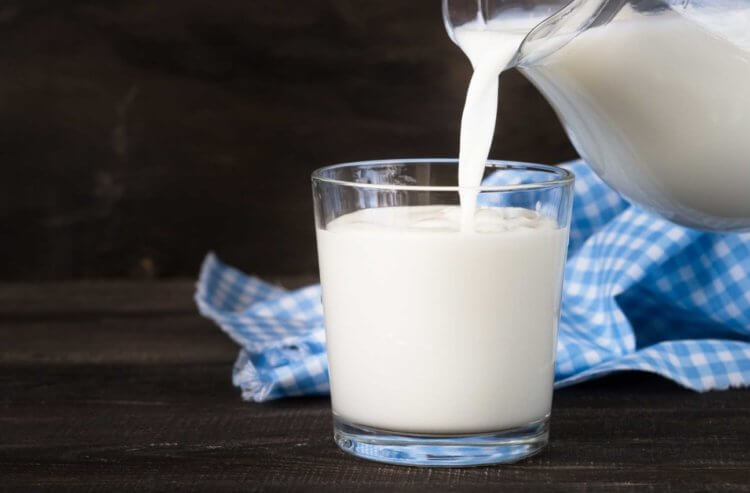 Запрет сырого молока в США. Несмотря на вероятность наличия опасных микробов, многие люди все же любят непастеризованное молоко. Фото.