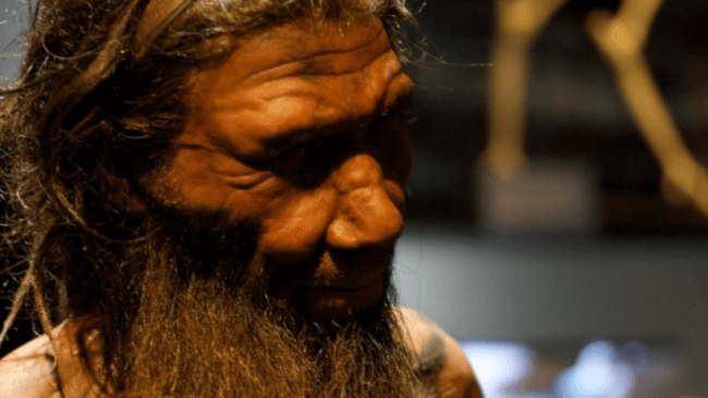 На каком языке разговаривали неандертальцы — теперь есть ответ. Фото.