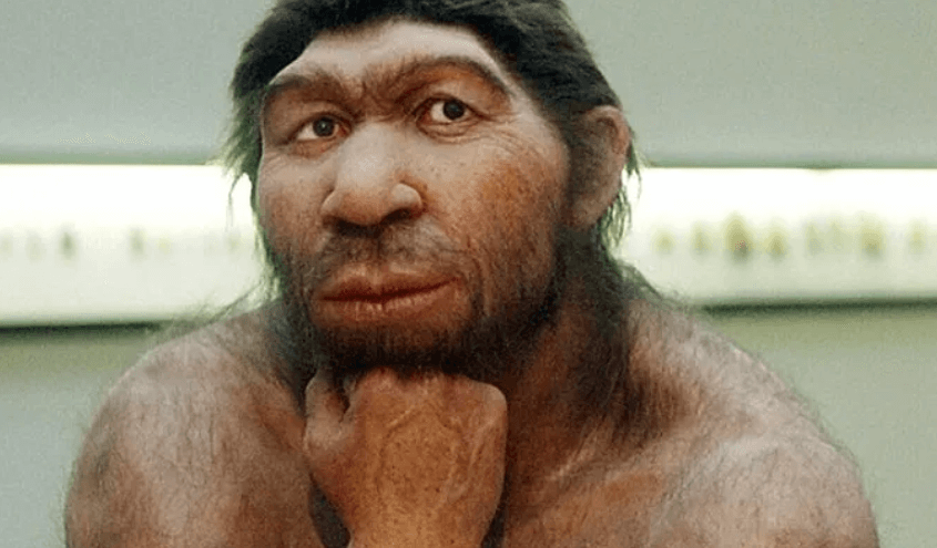 Неандертальцы уступали умственными и речевыми способностями Хомо Сапиенс. Речь неандертальцев была более примитивной, чем речь Хомо Сапиенс. Фото.