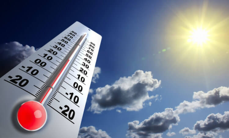 Климатологи пугают 2024 годом — жара выйдет на новый уровень
