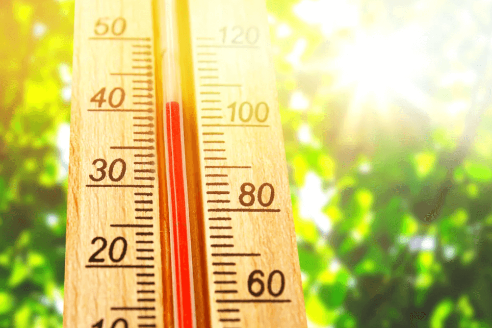 Почему в сухом климате жару переносить легче, чем во влажном. Способность переносить нашим телом высокую температуру зависит во многом от влажности воздуха. Фото.