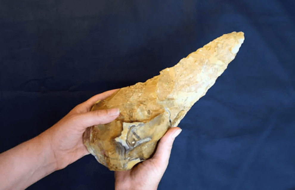 Обнаруженные в Англии топоры возрастом 300 тысяч лет использовали на бойне. Кремниевый топор возрастом более 300 тысяч лет. Фото.