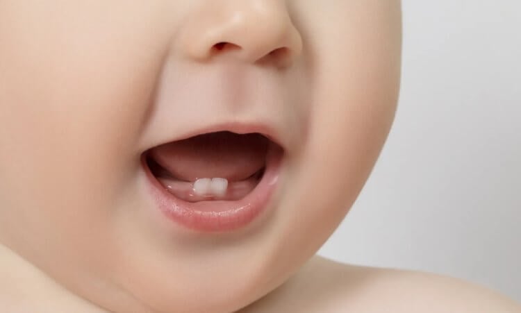 Как растут зубы человека. Молочные зубы ребенка. Фото.