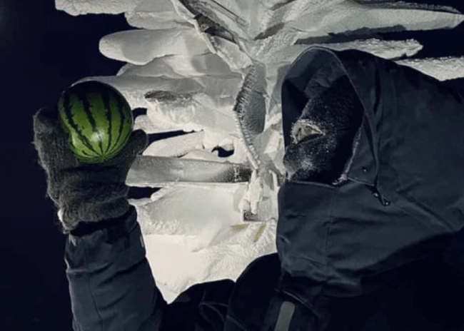 Как российские ученые вырастили арбузы в Антарктиде. Фото.